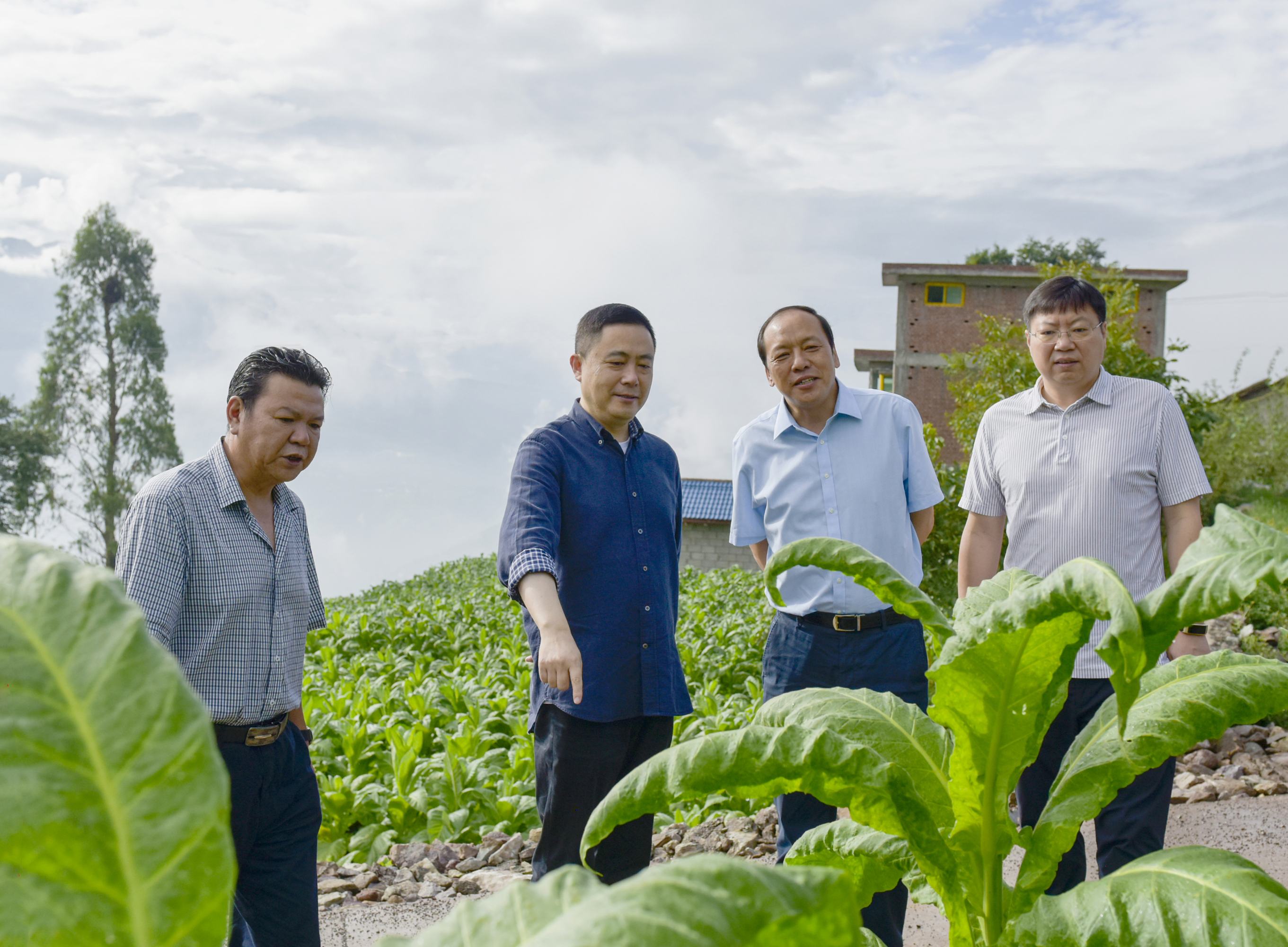 优质进口葡萄酒价格_中国进口优质烟叶_优质进口尼龙板