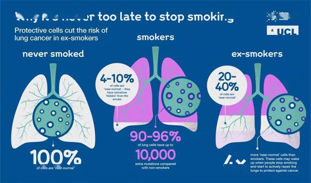 戒烟后得癌的人多不多_黑色素细胞活跃是癌吗_戒烟激活癌细胞