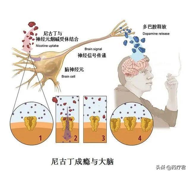 戒烟的花费_戒烟穴能戒烟吗_戒烟门诊怎么戒烟