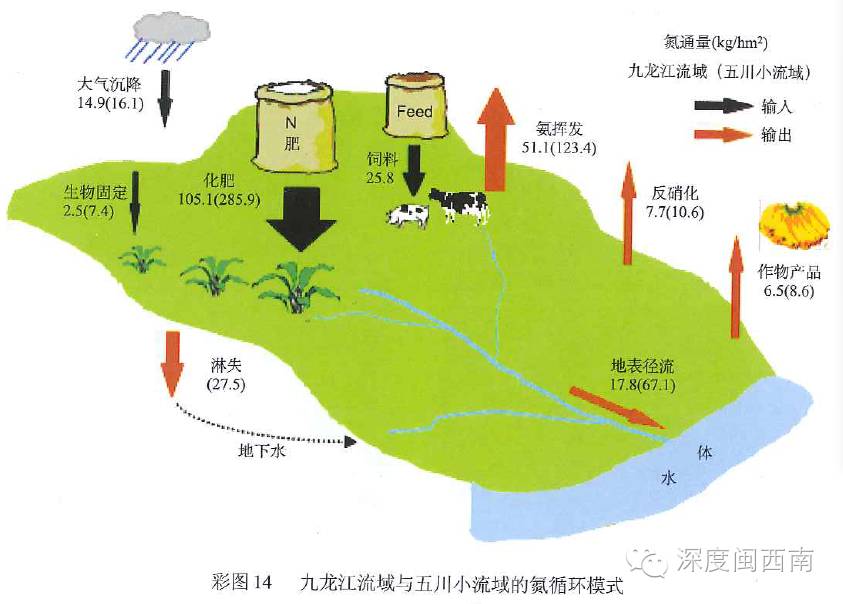 云霄123车队电话云霄点_云霄县蜜柚产量_大埔蜜柚与馆溪蜜柚