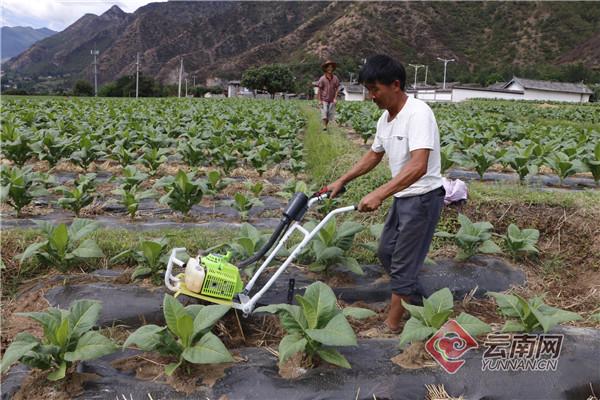 芜湖新兴铸管有限责任公司采购中心原料部_云南中烟原料中心_云南哪里有玉石原料