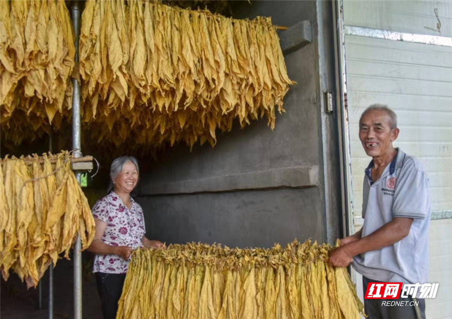 造雾蒸汽电子烟怎么样_私自造烟的村子_造雾者蒸汽电子烟