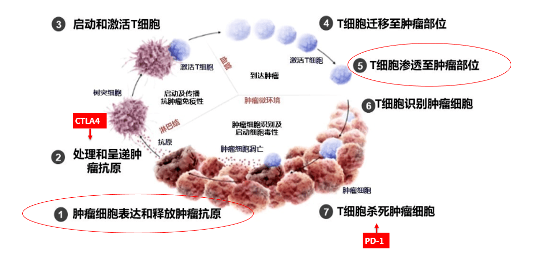 胆管细胞癌早期核磁表现_细胞癌和癌有什么区别_戒烟激活癌细胞