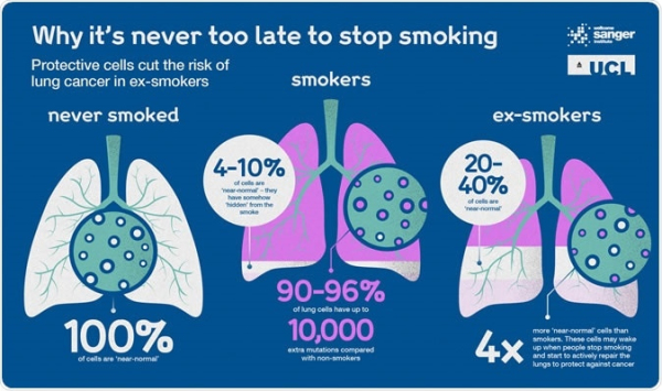 研究表明保护细胞可以降低戒烟者患肺癌的风险