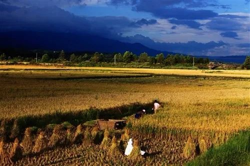 上海当地特色美食_张家口市当地特色美食_云南当地的特色卷烟