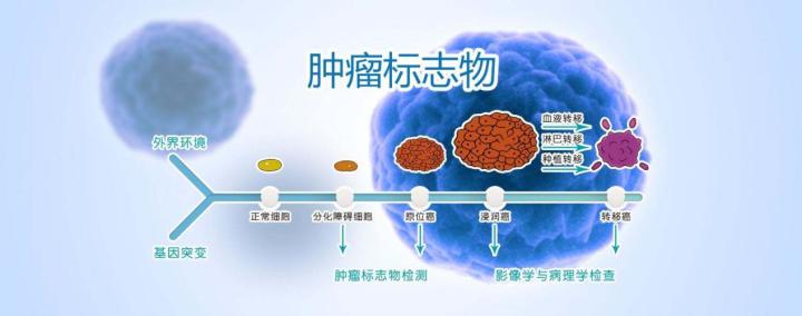 为什么突然戒烟会得癌_透明细胞肾细胞癌_戒烟激活癌细胞