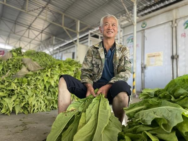 造雾者蒸汽电子烟清吧怎么样_私自造烟的村子_澄城卷烟厂造什么烟