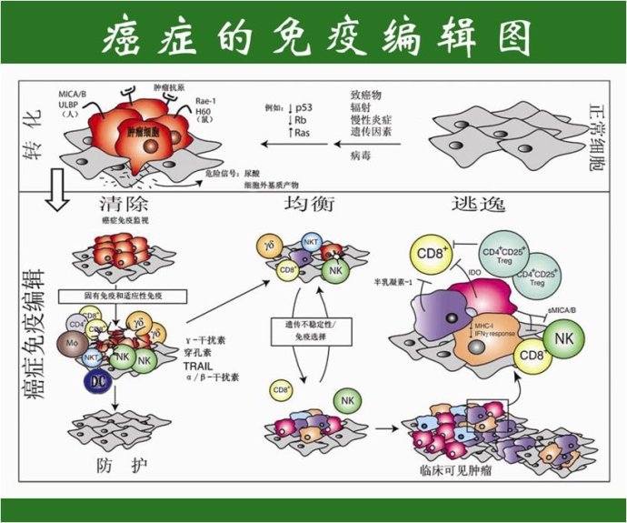 戒烟激活癌细胞_基底细胞癌_小细胞癌戒烟