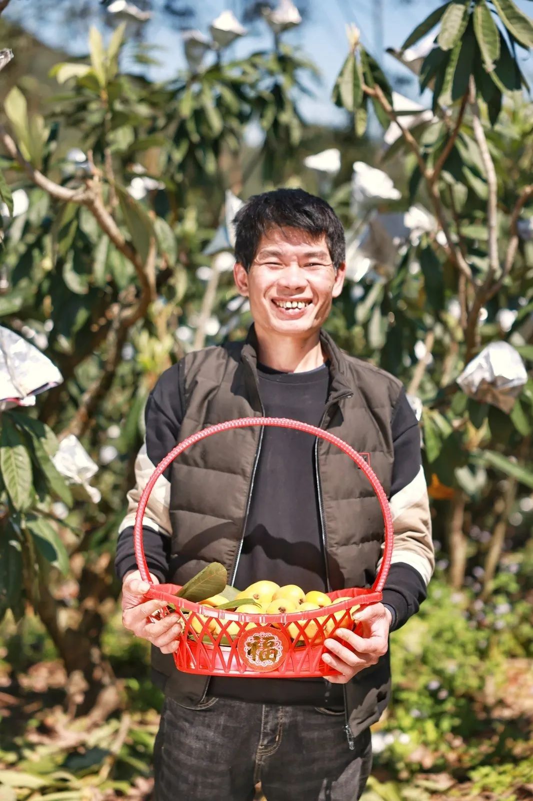 福建云霄云顶温泉图片_福建云霄新闻_福建云霄水果种植基地