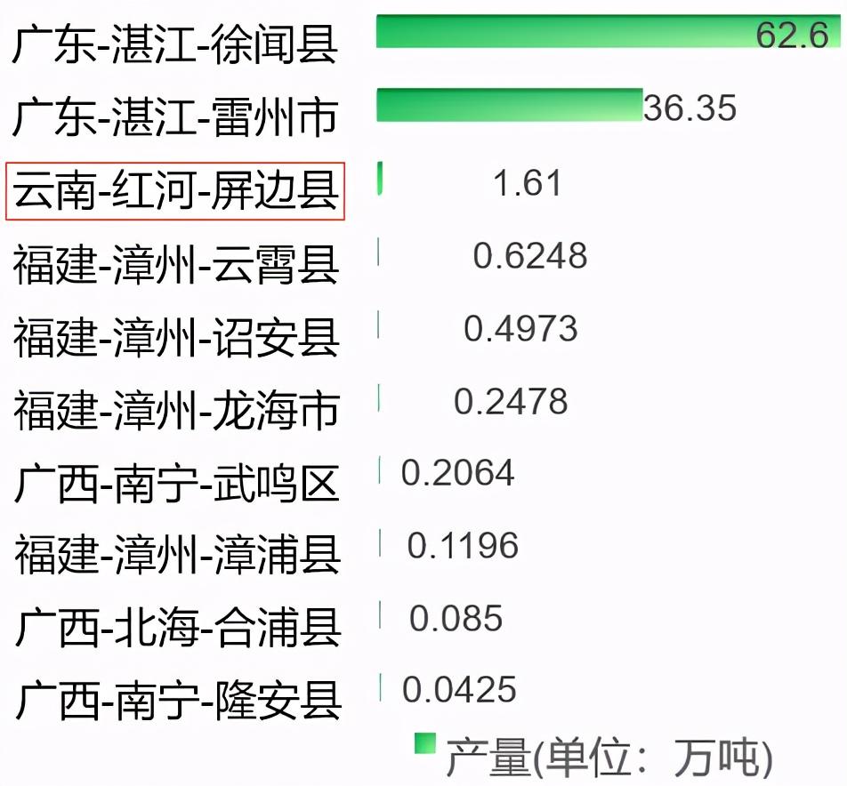 福建云霄水果种植基地_福建云霄新闻视频_福建云霄新闻