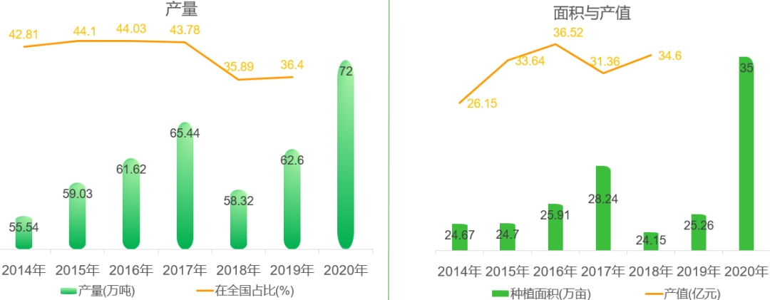 福建云霄新闻_福建云霄水果种植基地_福建云霄新闻视频