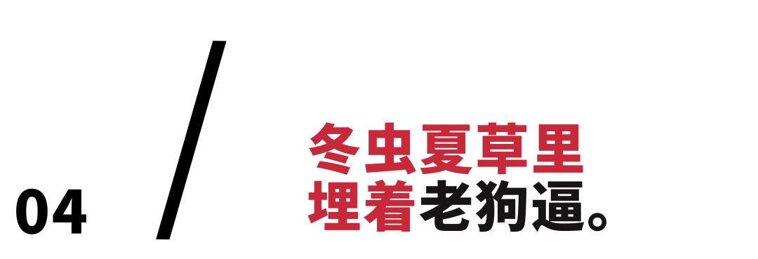 1916百年回报 5盒 特供_特供白盒_和天下特供白盒多少钱