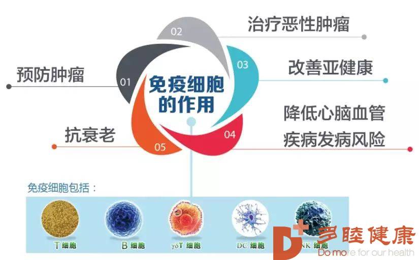 印戒细胞癌 英文_小细胞癌戒烟_戒烟激活癌细胞