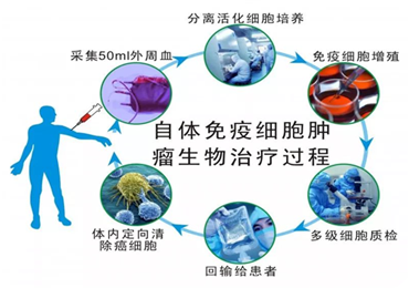 印戒细胞癌 英文_小细胞癌戒烟_戒烟激活癌细胞