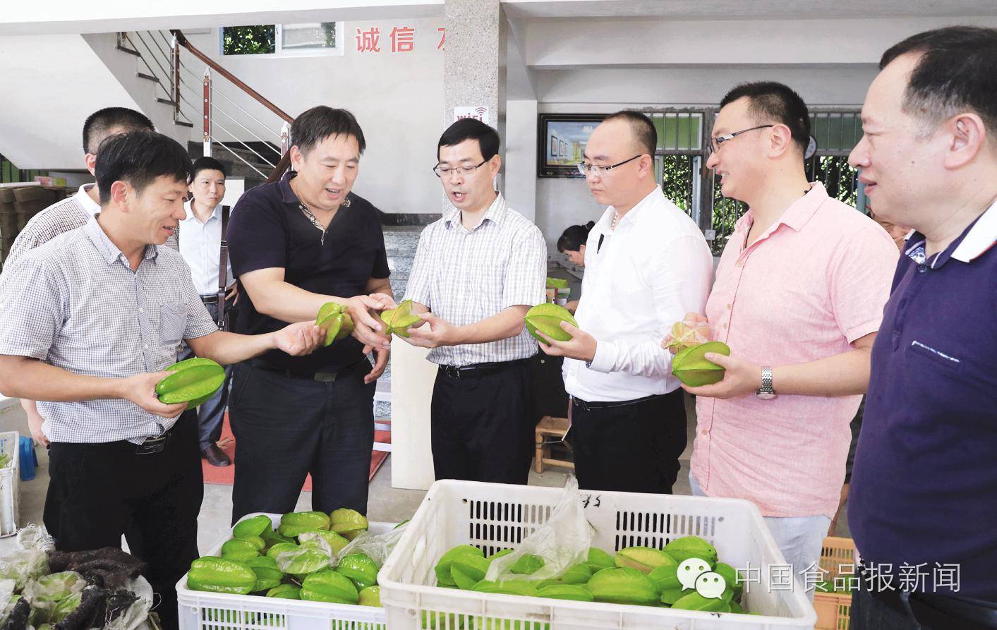 福建云霄温泉_福建云霄新闻_福建云霄水果种植基地