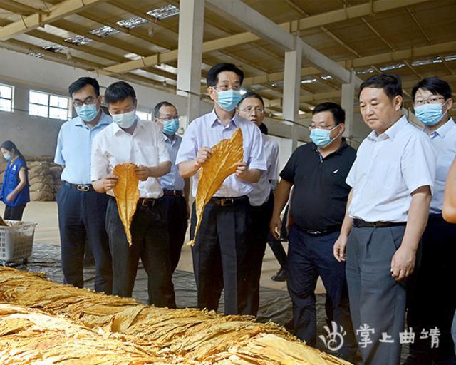 云南烟草在全国的地位_云南农业大学烟草专业_云南烟草公司招聘