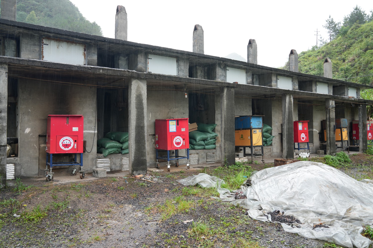 图为河池烟区生物质颗粒燃烧机烤房群。（覃华  摄）