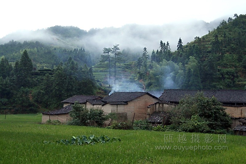 菲利普莫里斯烟日本造_澄城卷烟厂造什么烟_私自造烟的村子