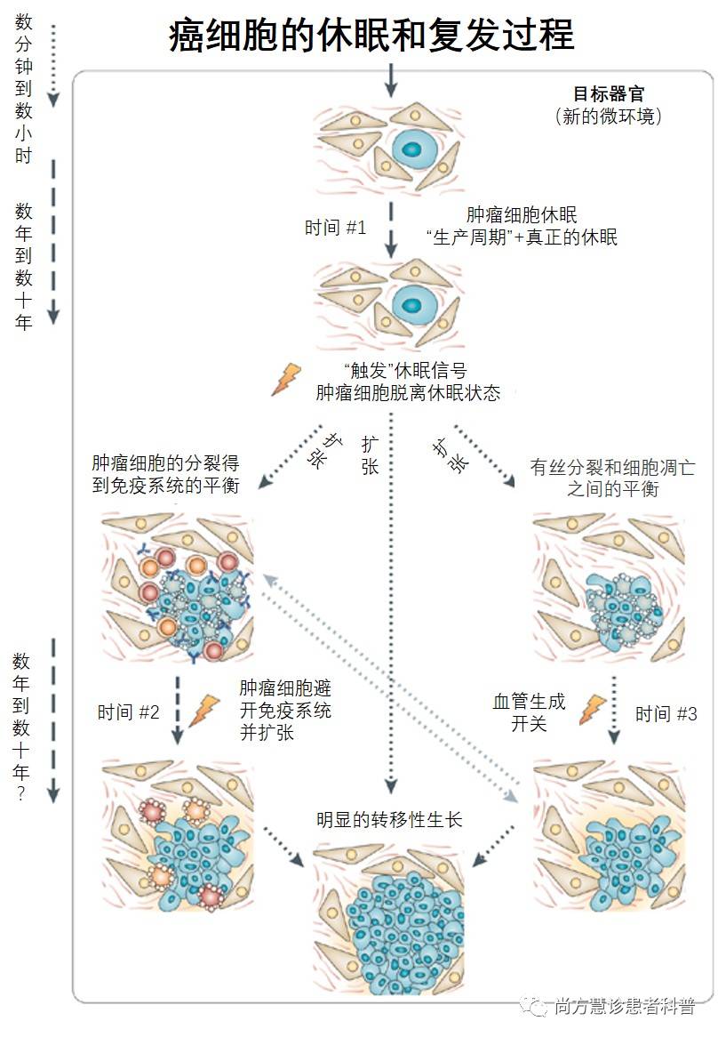 戒烟后得癌的人多不多_戒烟激活癌细胞_基底细胞癌