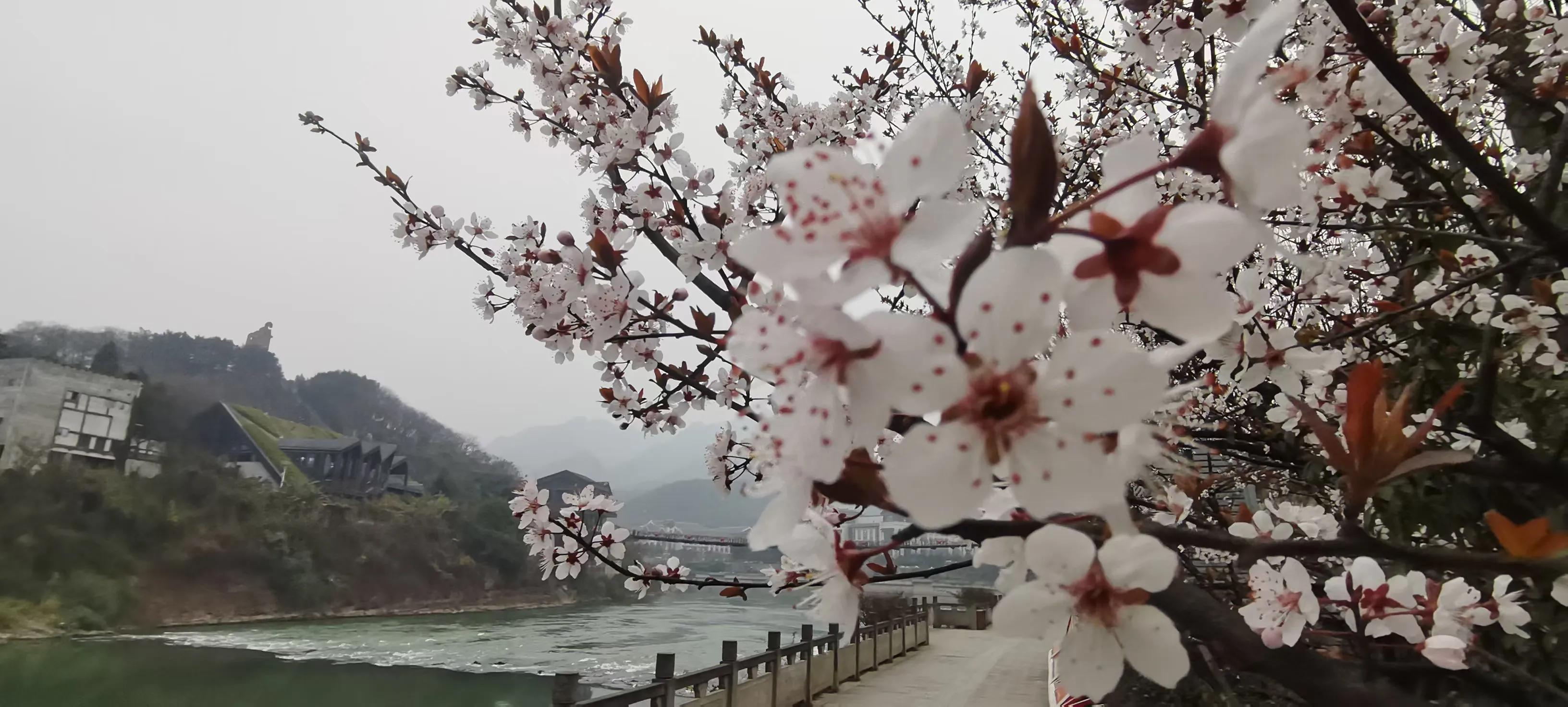 贵州茅台镇荷花酒和荷花烟_贵州茅台酒厂集团 茅台建国60周年庆典酒_茅台迎宾酒贵州专销