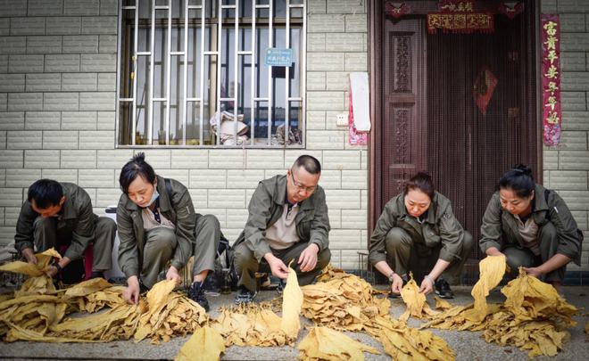 云南中烟原料中心_云南最贵的烟是什么烟_电子烟是什么原料做的