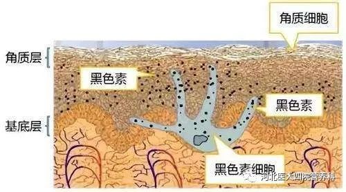 避孕套含有杀精剂吗_香烟里是否含有保湿剂_香烟燃烧产生的烟气中含有尼古丁