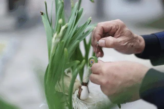 红肉蜜柚和三红蜜柚_平和蜜柚产地价格行情_泉州云霄蜜柚产地