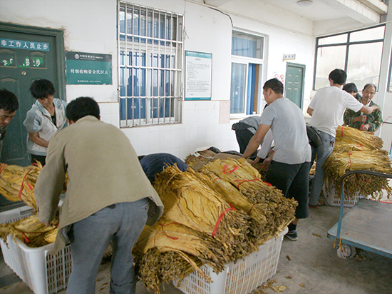 造雾者蒸汽电子烟体验馆怎么样6_私自造烟的村子_城市造造造内购破解版