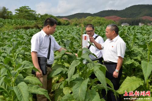 造雾者蒸汽电子烟体验馆怎么样6_城市造造造内购破解版_私自造烟的村子