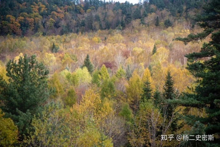 造雾主电子烟怎么样_造烟机器全套多少钱_私自造烟的村子