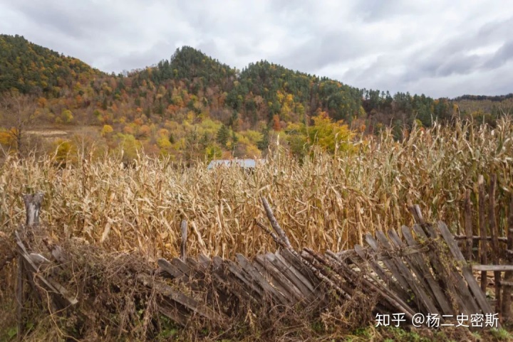 造烟机器全套多少钱_造雾主电子烟怎么样_私自造烟的村子