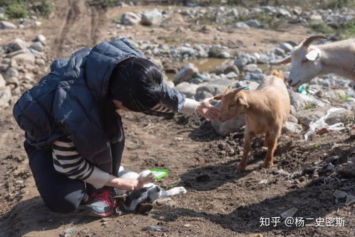 造烟机器全套多少钱_造雾主电子烟怎么样_私自造烟的村子