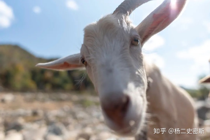 造烟机器全套多少钱_私自造烟的村子_造雾主电子烟怎么样