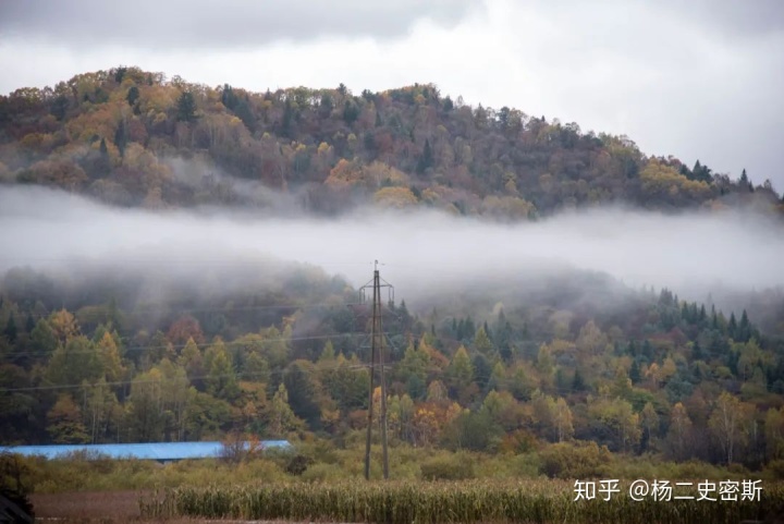 造烟机器全套多少钱_造雾主电子烟怎么样_私自造烟的村子