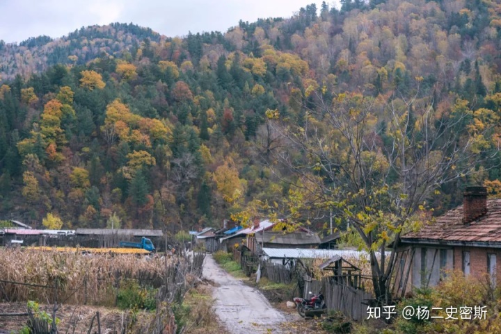 造烟机器全套多少钱_造雾主电子烟怎么样_私自造烟的村子