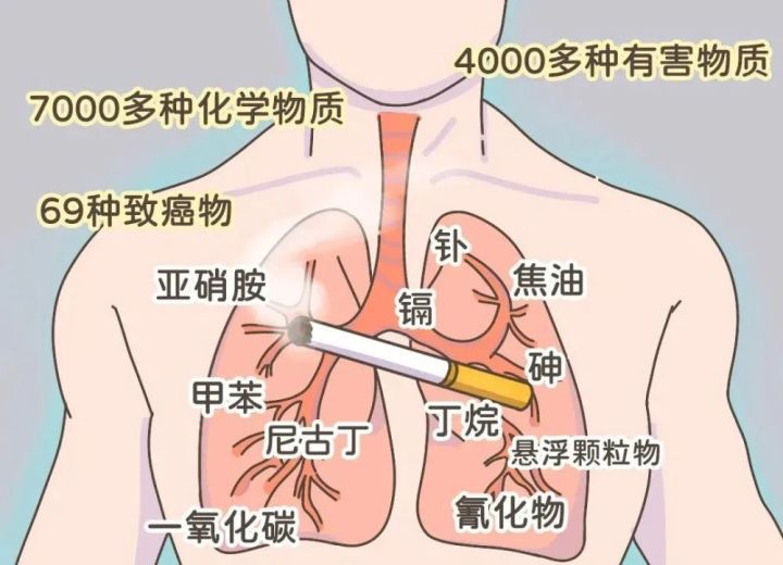 厂家香烟一手货源_香烟一手_香烟一手货源厂家