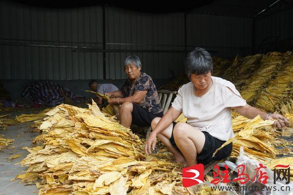 微信小程序城市造造造攻略_私自造烟的村子_小野造物的电子烟