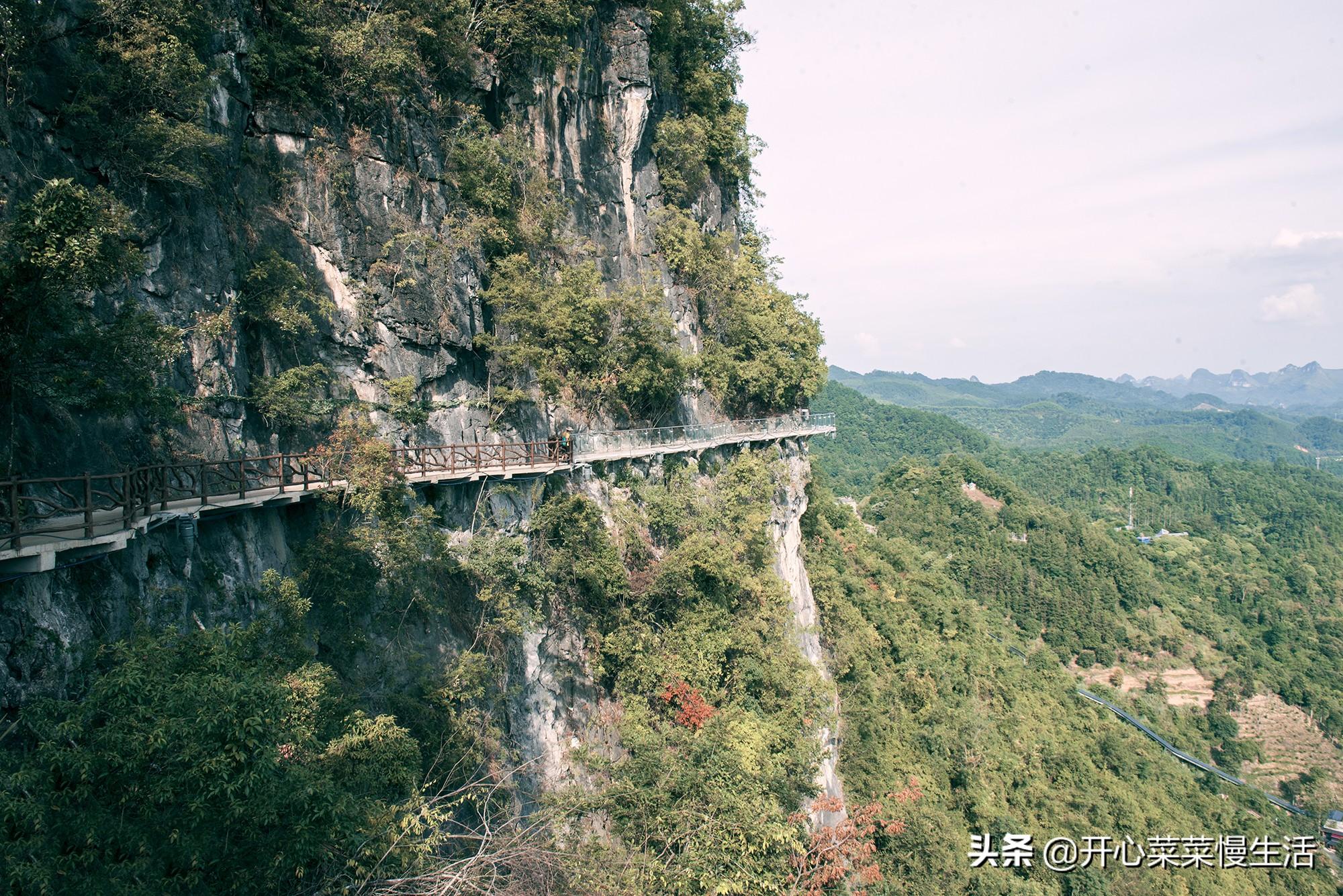 越南苹果烟多少钱一包_越南烟_越南烟图片及价格