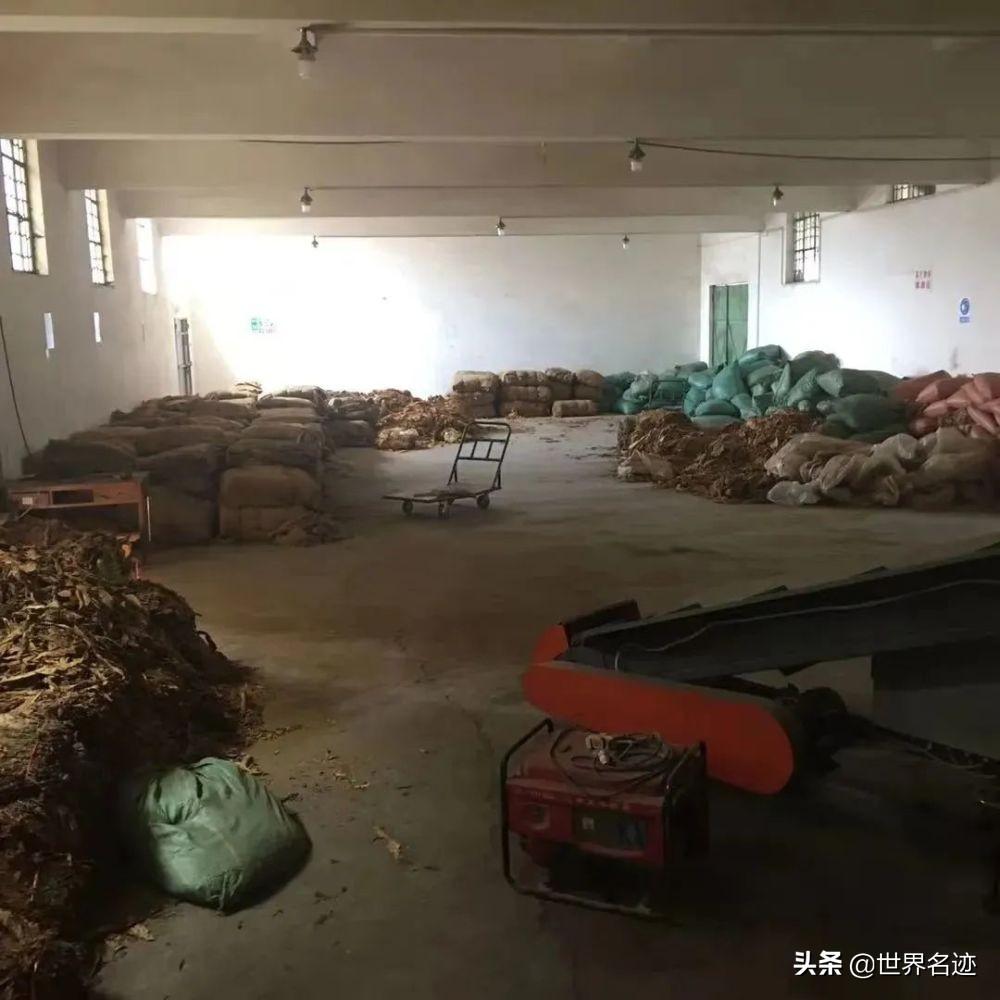 现在云霄卷烟厂生产正品烟了吗_昭通烟厂现在有什么烟_漯河现在都生产什么烟