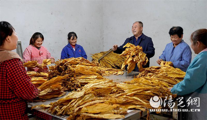 造雾主电子烟_私自造烟的村子_澄城卷烟厂造什么烟