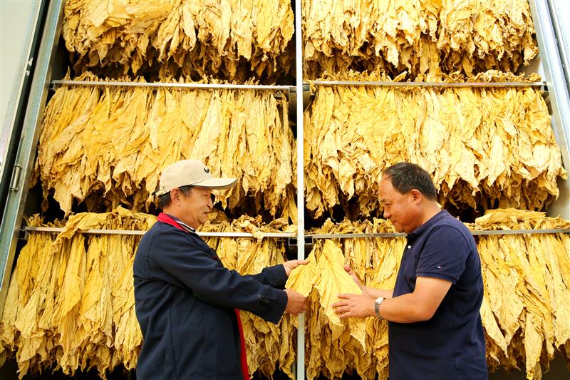 现在云霄卷烟厂生产正品烟了吗_上海烟厂生产哪些烟_现在哪里有生产电子烟