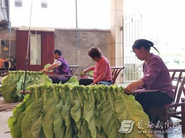 私自造烟的村子_造雾者电子蒸汽烟体验馆怎么样_城市造造造内购破解版