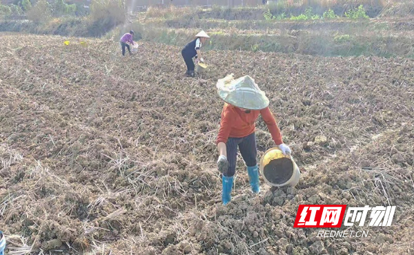 城市造造造兑换码大全_造雾者蒸汽电子烟清吧怎么样_私自造烟的村子