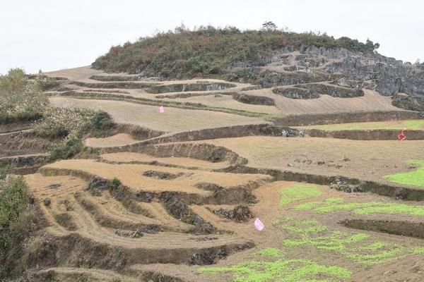 私自造烟的村子_造雾主电子烟介绍_造雾主电子烟