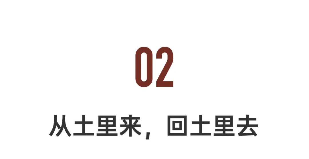 造雾主电子烟怎么样_微信小程序城市造造造攻略_私自造烟的村子