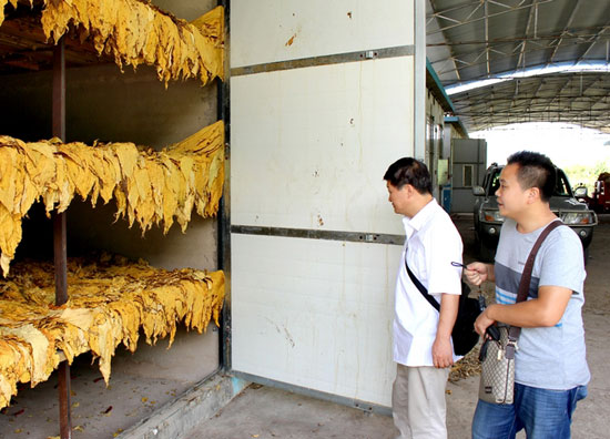 云霄香烟批发货源网_云霄香烟一手货源_云霄香烟货源