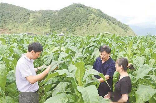 造烟机器全套多少钱_微信小程序城市造造造攻略_私自造烟的村子