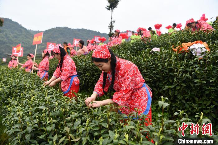 微信卖烟宣传图片大全_推荐几个卖烟的微信_微信卖烟的是真的假的