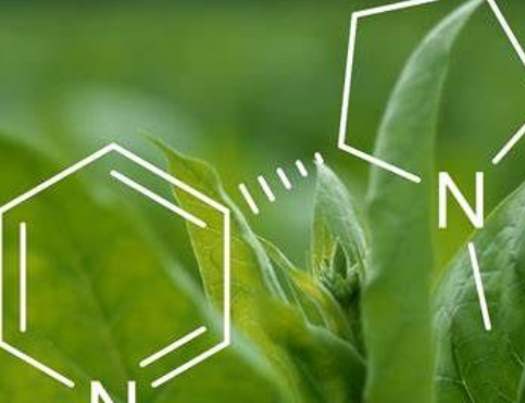 一手货源香烟_一手批发香烟_一手货源香烟厂家