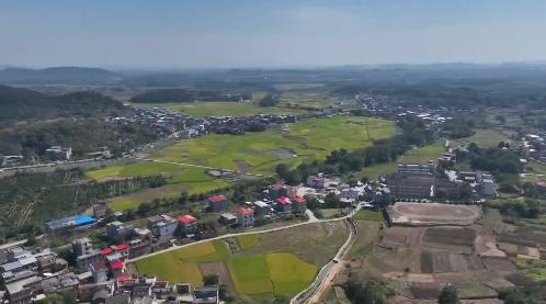 私自造烟的村子_小村子造20年假烟_农村发烟